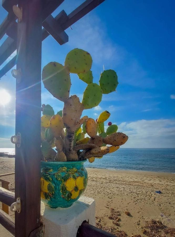 Appartamento La Coffa Agnone Cilento Екстериор снимка