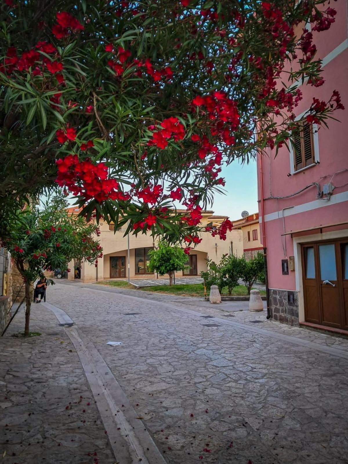 Appartamento La Coffa Agnone Cilento Екстериор снимка